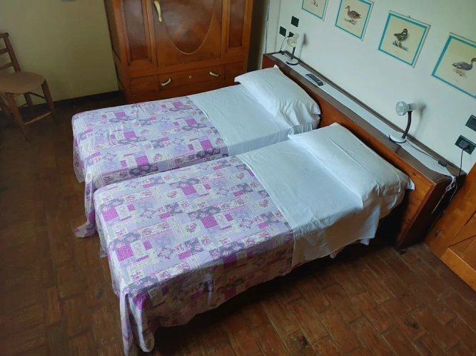 Classic Single room