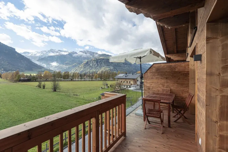 Premium Ferienhaus # 1B mit Sauna