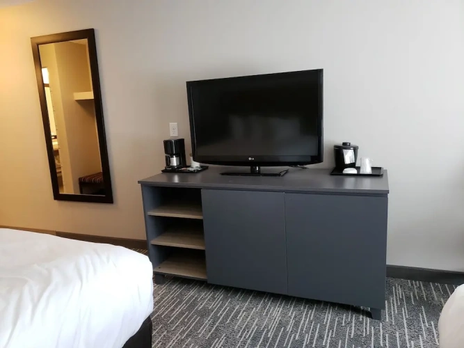 1 Bedroom Suite