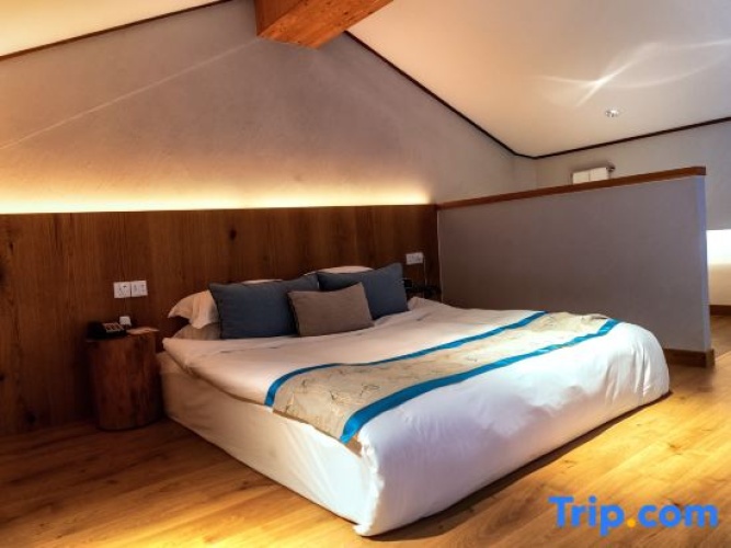Standard Double Duplex room