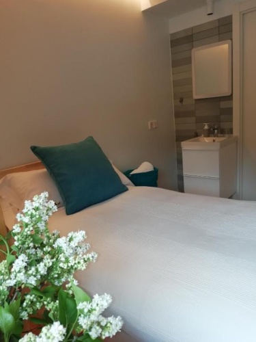 Standard Single room with mountain view