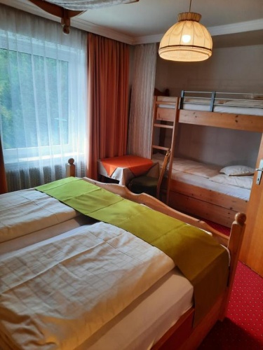 1 Bedroom Standard Apartment
