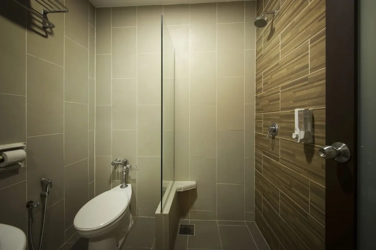 Deluxe Twin room with city view