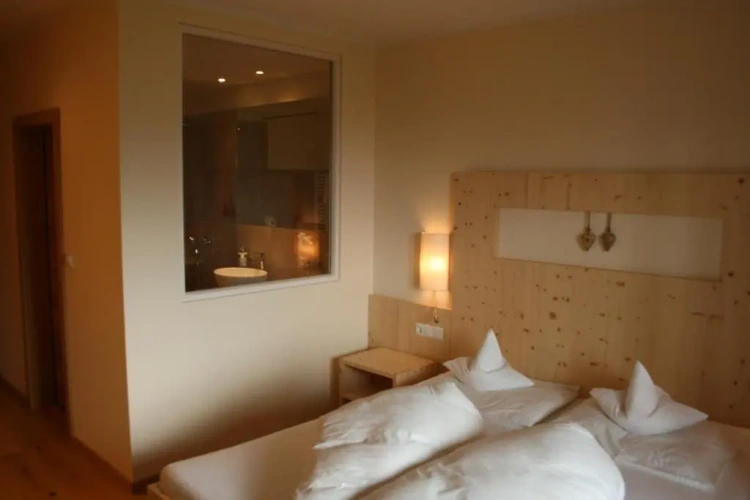 Standard Double room with balcony and with mountain view