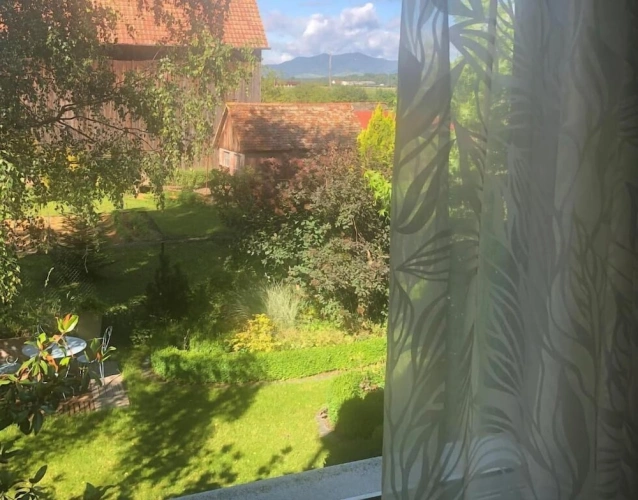 Standard Double room with garden view