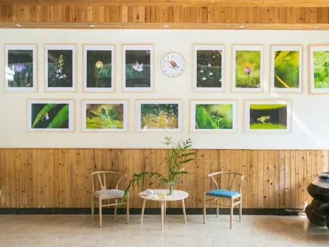 Le yeb & B (Hello Nankunshan nature school)