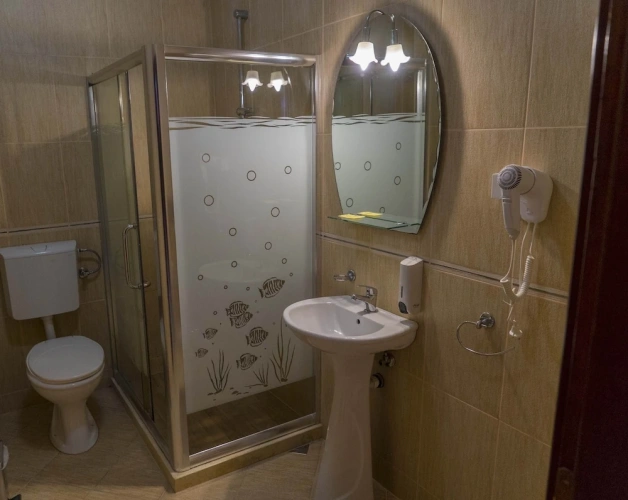 1 Bedroom Apartment with balcony