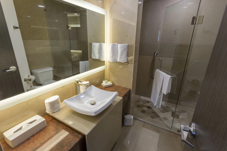 Holiday Inn Zona Diamante photo 11