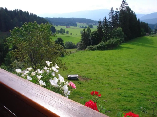 1 Bedroom Apartment with balcony