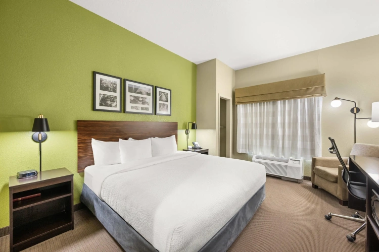 Standard Double room