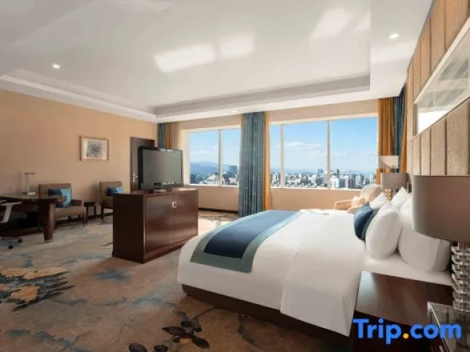 1 Bedroom Suite