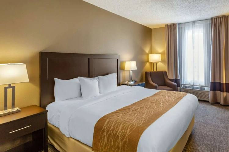 Standard Double room