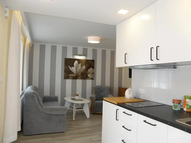 1 Bedroom Apartment