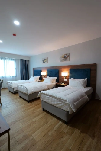 Classic Triple room with city view
