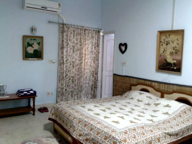 Deluxe Double room with view
