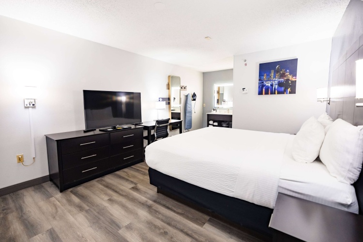 La Quinta Inn by Wyndham Tampa Near Busch Gardens photo 7