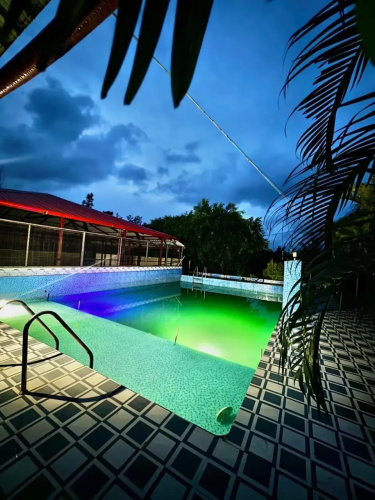 Coorg Nest Cottages