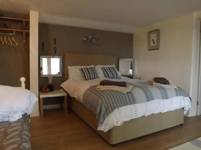 Standard Double room with garden view