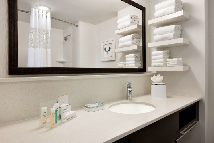 Hampton Inn Atlanta-Buckhead photo 11
