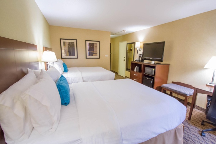 Premium Quadruple room