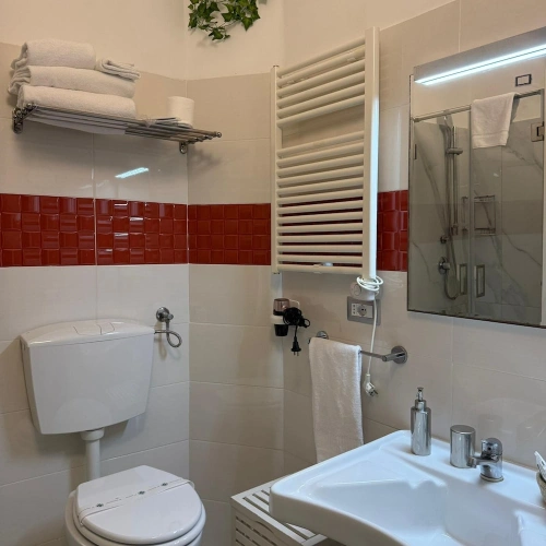 Deluxe Double room with balcony