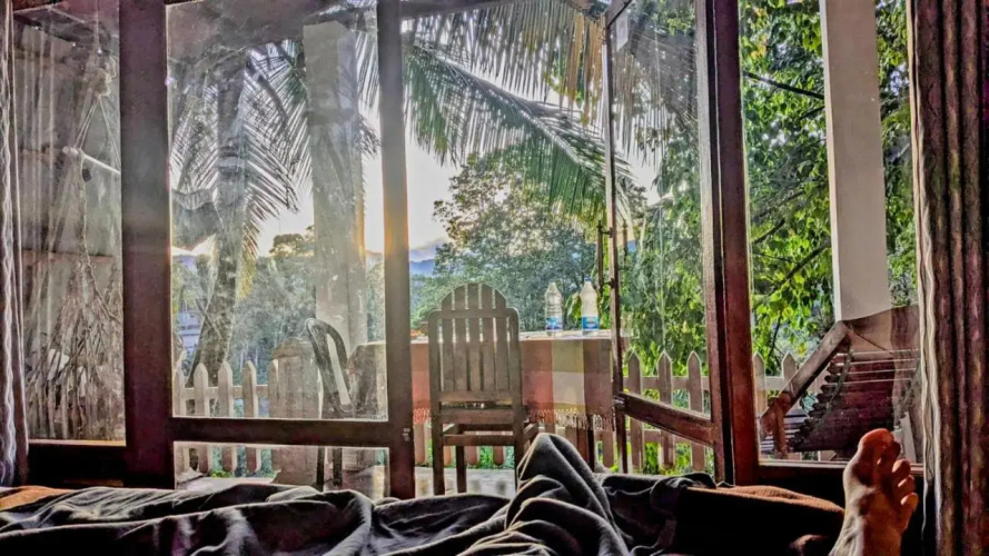 Farmers Paradise Ella