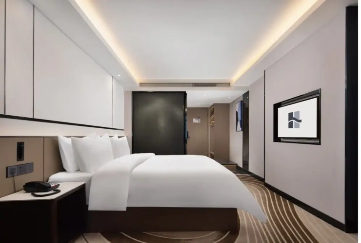 Business Double room with city view