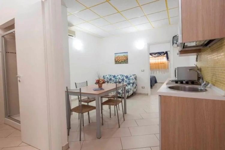 1 Bedroom Apartment
