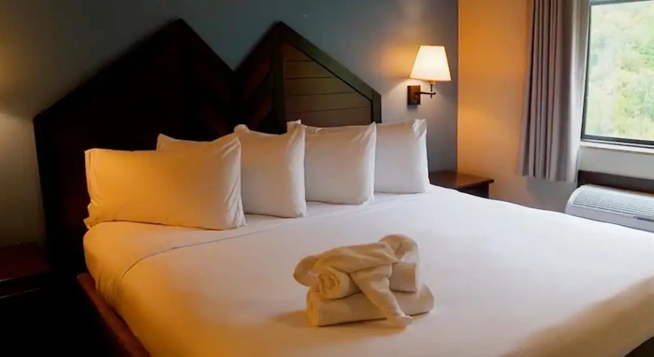 1 Bedroom Deluxe Double Suite