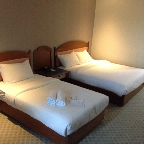 Deluxe Double room with river view