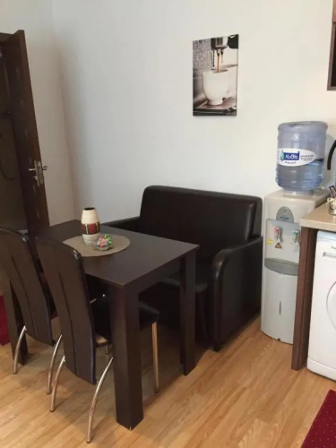 Xenopol Central Apartment