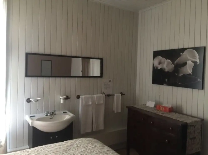 Standard Double room with river view
