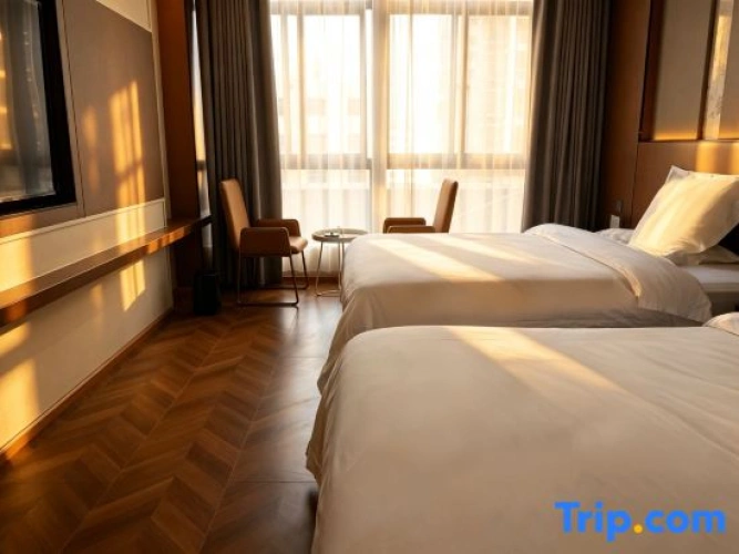 Standard Double room with city view