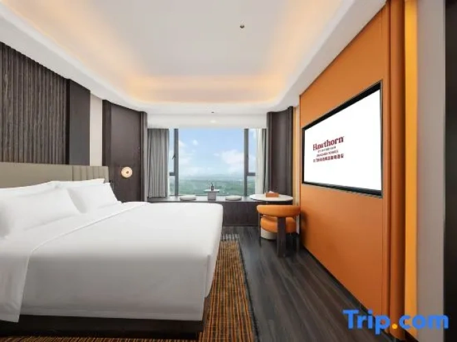 1 Bedroom Suite