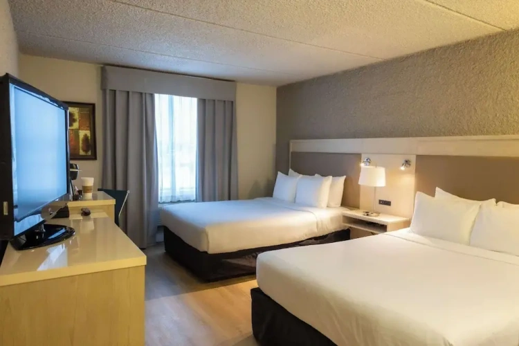 Premium Quadruple room