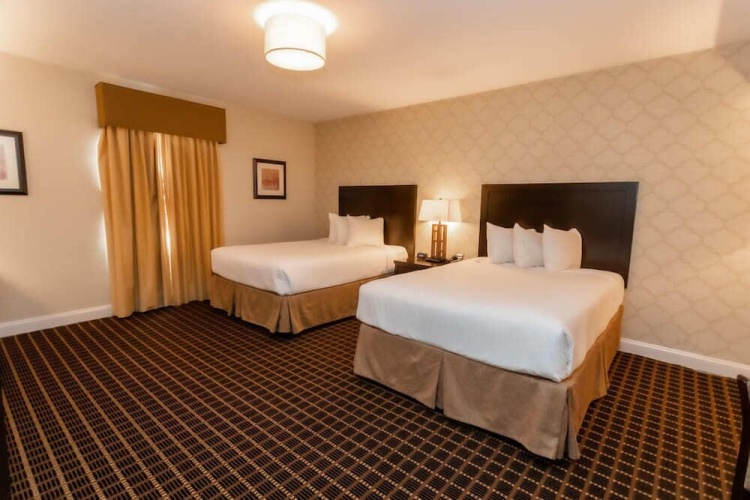 American Hotel photo 7