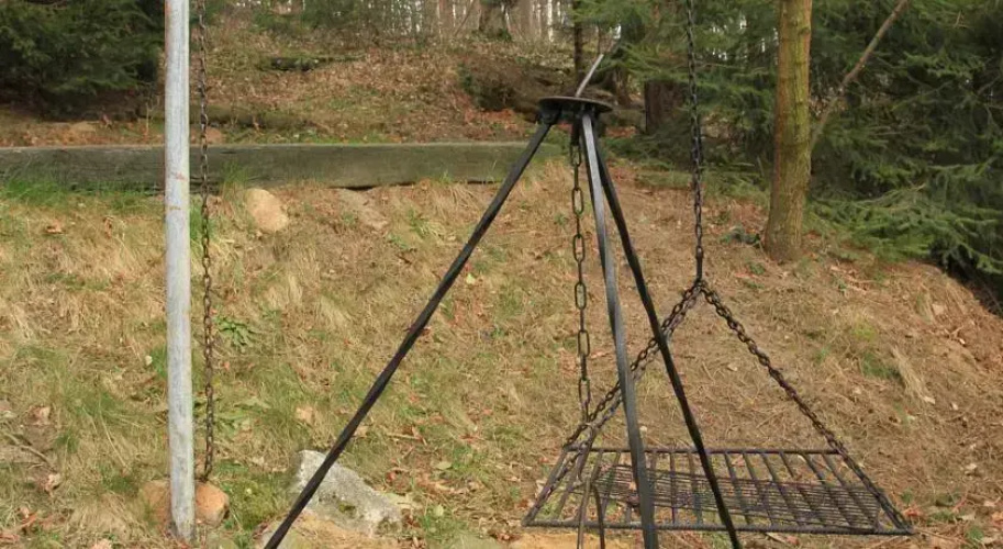 Między drzewami