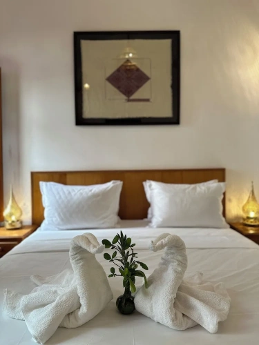 Deluxe Double room with pool view