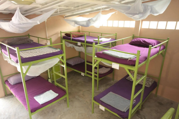 Purple Monkey Backpackers
