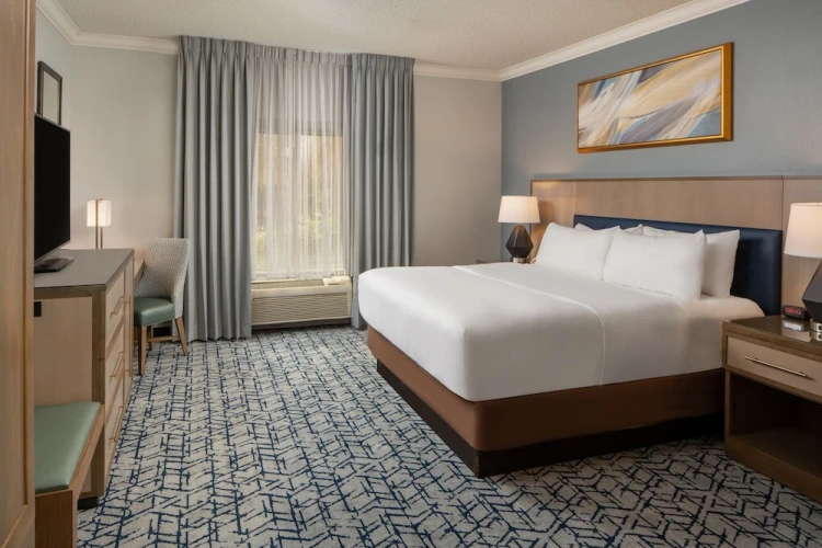 Deluxe Double room