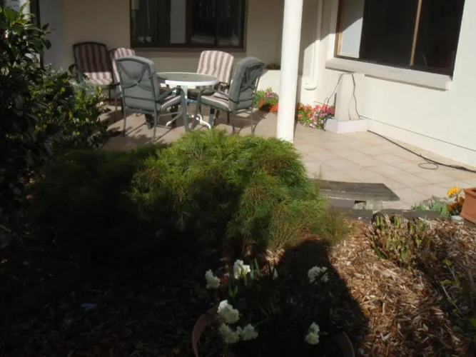 Absolute Beachview B & B