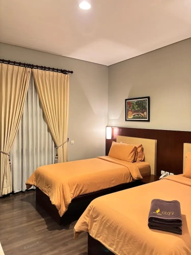 Deluxe Twin Basement room