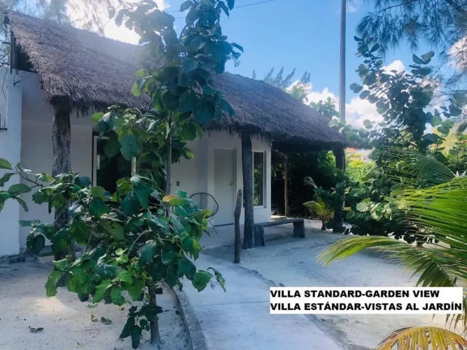 Standard Villa