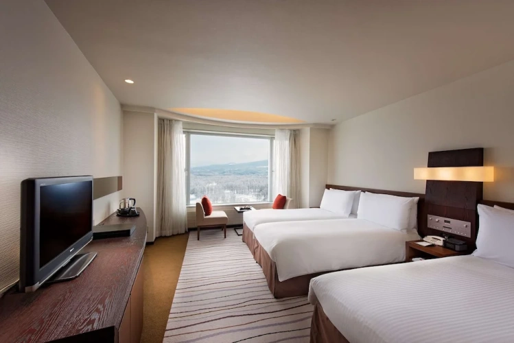 Deluxe Twin Family room