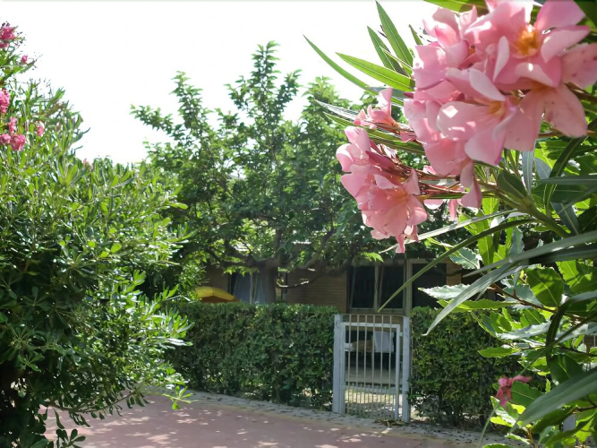 Residence Marche