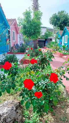 Akalia Resort Hotel & Spa