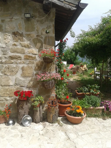 Agricultura Cupacci