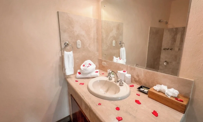Junior Suite with balcony and with ocean view