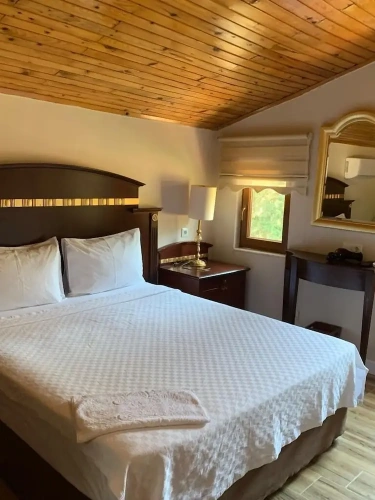 Standard Double room with garden view