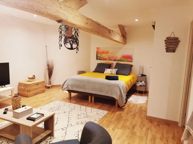Deluxe Double room with garden view